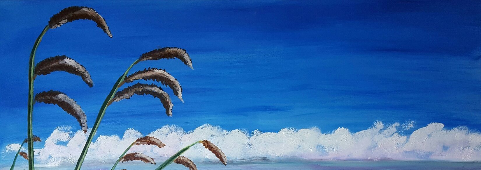 Bild zur Zeit leider nicht verfügbar