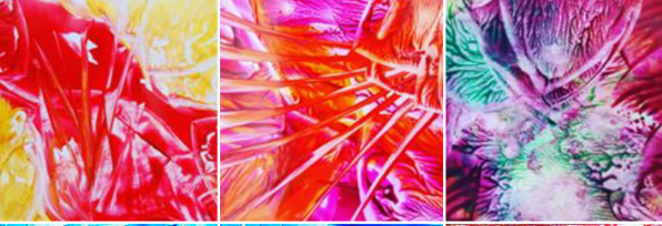 Bild leider nicht verfügbar