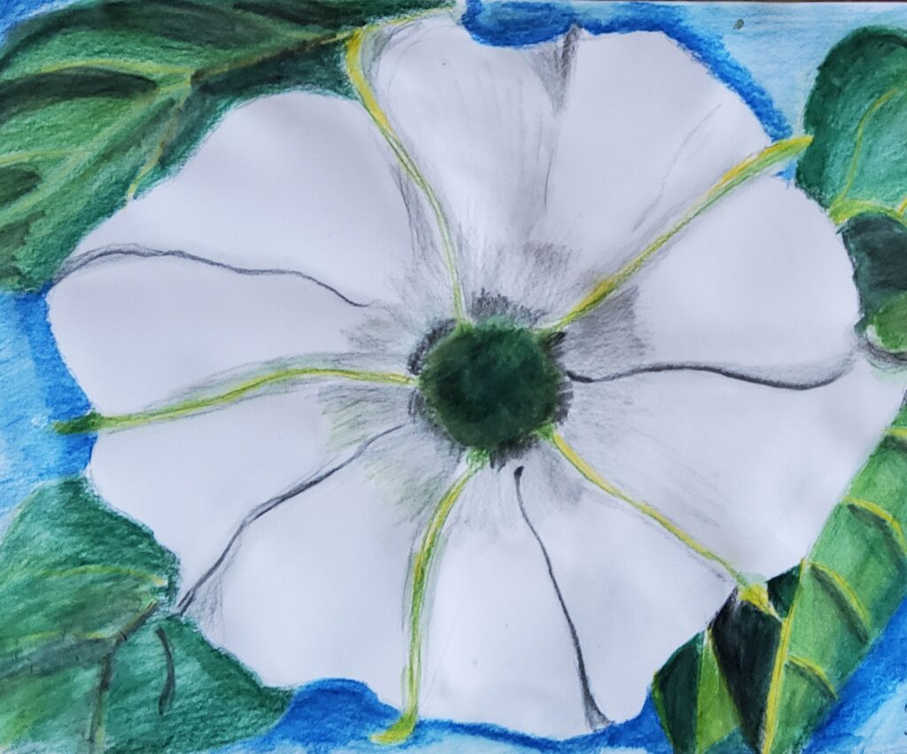 Bild zur Zeit leider verfügbar