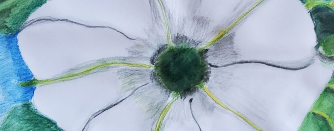 Bild zur Zeit leider verfügbar