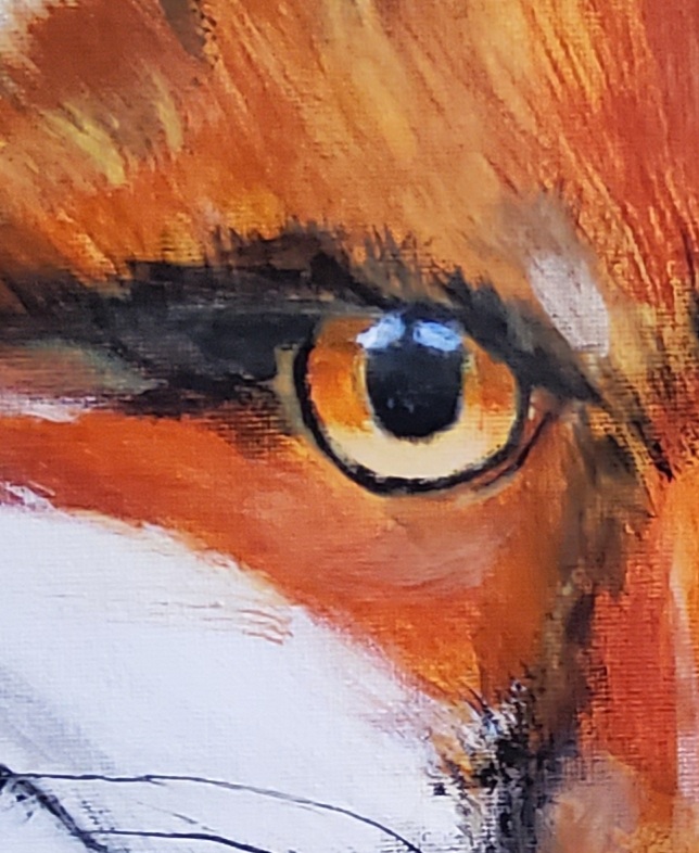 Bild zur Zeit nicht verfügbar