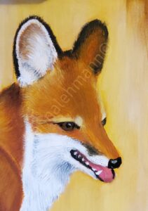 Bild zur Zeit leider nicht verfügbar Fuchskopf