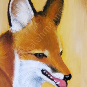 Bild zur Zeit leider nicht verfügbar Fuchskopf