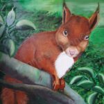 Bild zur Zeit leider nicht verfügbar Eichhörnchen 1