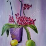 Bild zur Zeit leider nicht verfügbar Orchidee